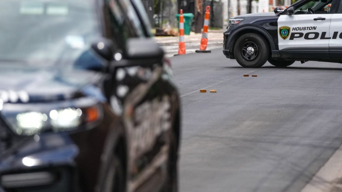 Carros de policía en color negro en la carretera junto a varios árboles
