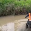 Rescatan a perro de un canal en Tlajomulco de Zúñiga