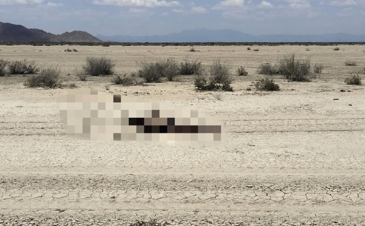 Cuerpo de un joven que estaba desaparecido en San Pedro, Coahuila.