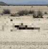 Cuerpo de un joven que estaba desaparecido en San Pedro, Coahuila.
