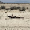 Cuerpo de un joven que estaba desaparecido en San Pedro, Coahuila.