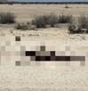 Cuerpo de un joven que estaba desaparecido en San Pedro, Coahuila.