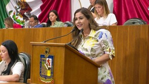 La difusión de las jornadas de vacunación, añadió la legisladora, podrá realizarse con fines informativos