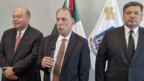 Vicesfiscal NL