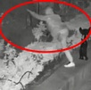 La Parroquia de San Cosme sufre robo de esculturas; hay una persona detenida.