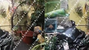 Revelan video del patio donde hallaron los restos de Gaeli en una hielera tras ser asesinada por su pareja.