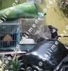 Revelan video del patio donde hallaron los restos de Gaeli en una hielera tras ser asesinada por su pareja.
