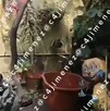 Revelan video del patio donde hallaron los restos de Gaeli en una hielera tras ser asesinada por su pareja.