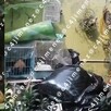 Revelan video del patio donde hallaron los restos de Gaeli en una hielera tras ser asesinada por su pareja.
