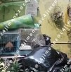 Revelan video del patio donde hallaron los restos de Gaeli en una hielera tras ser asesinada por su pareja.