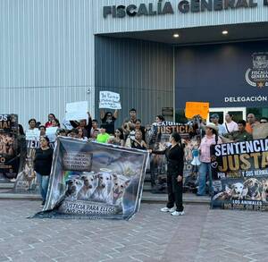 Rescatistas y ciudadanos mantienen la presión para que el caso de presunto maltrato animal tenga una resolución ejemplar.