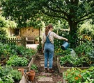 Huertos bajo la sombra o semisombra son muy prácticos ya que hay muchas plantas que pueden crecer en estas condiciones.