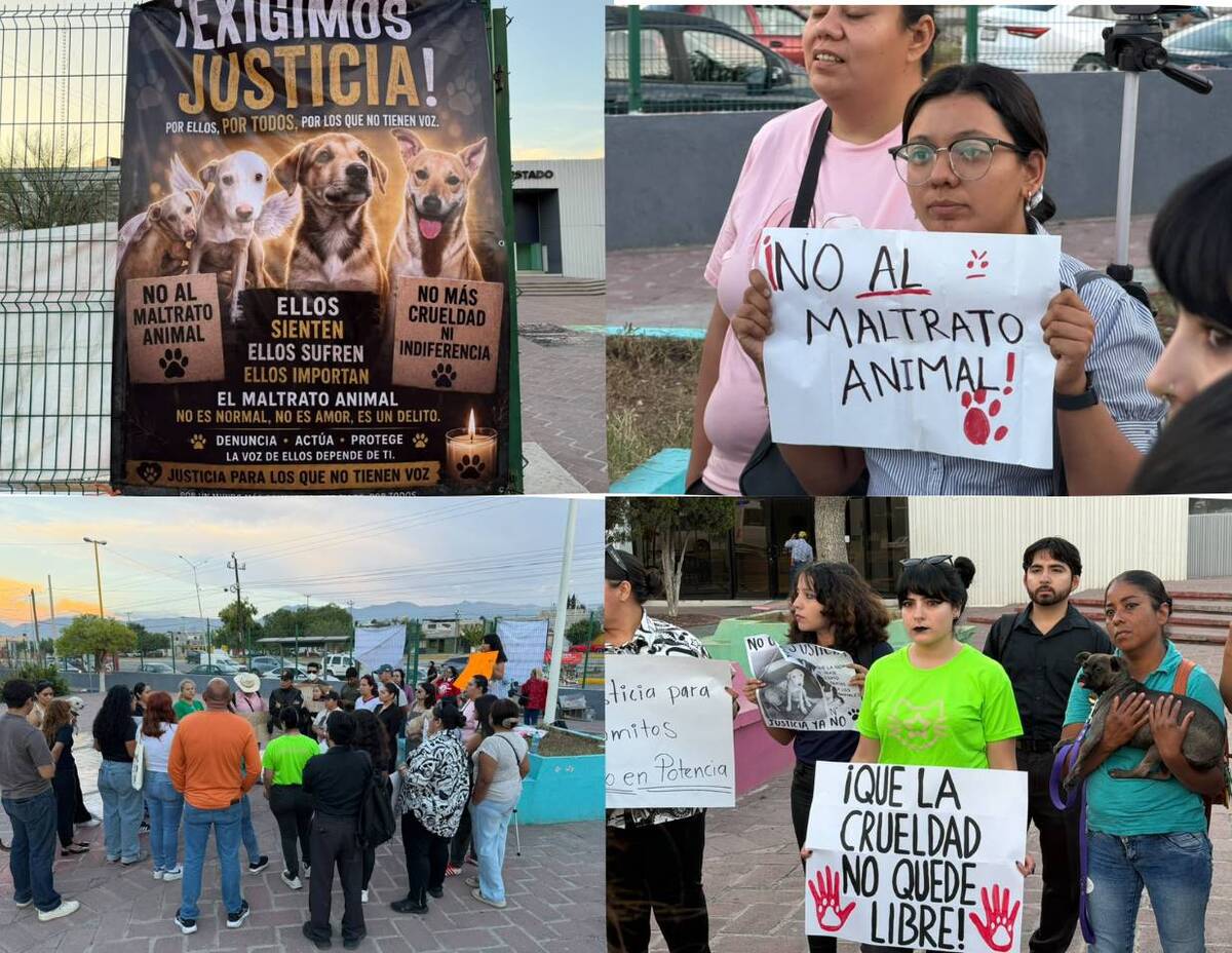 Rescatistas y ciudadanos mantienen la presión para que el caso de presunto maltrato animal tenga una resolución ejemplar.