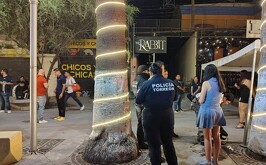 Mr. Rabbit bar conflicto a golpes.