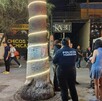 Mr. Rabbit bar conflicto a golpes.