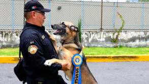 Seis binomios caninos del grupo K9 se retiran con honor tras 5 años de servicio; tendrán una nueva vida.