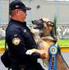 Seis binomios caninos del grupo K9 se retiran con honor tras 5 años de servicio; tendrán una nueva vida.
