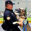 Seis binomios caninos del grupo K9 se retiran con honor tras 5 años de servicio; tendrán una nueva vida.