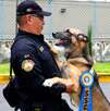 Seis binomios caninos del grupo K9 se retiran con honor tras 5 años de servicio; tendrán una nueva vida.