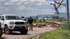 La mañana de este domingo, un grupo de habitantes de la comunidad Santa Elena, en el municipio de Irapuato, fue víctima de un ataque armado.