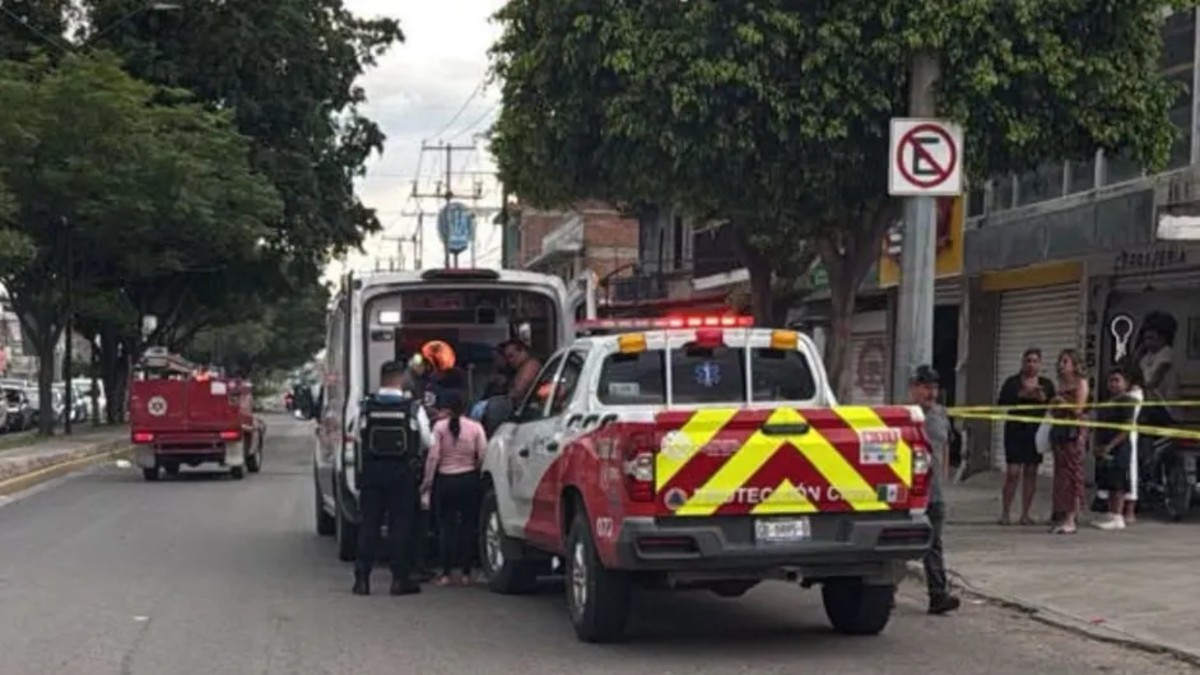Catorce personas, entre ellas tres menores de edad, resultaron lesionadas luego de ser atacadas por un enjambre de abejas la tarde de este sábado.