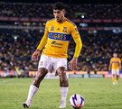 Conoce el perfil completo, palmarés y trayectoria de Alan Franco, el defensor argentino que llega como refuerzo de Tigres desde el São Paulo.