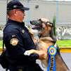 Seis binomios caninos del grupo K9 se retiran con honor tras 5 años de servicio; tendrán una nueva vida.