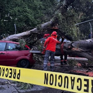 Tormenta en Guadalajara derriba árboles, aplasta vehículos y desata rescate