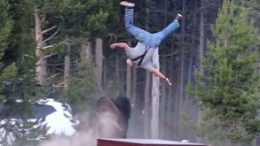 Bisonte embistiendo y arrojando varios metros en el aire a un adulto mayor en el parque de Yellowstone con árboles y una camioneta blanca alrededor
