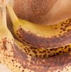 Abono de banana y café: beneficios y cómo prepararlo