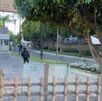 Santa Fe Residencial, sobre la Vía Atlixcayotl, cae presunto culpable