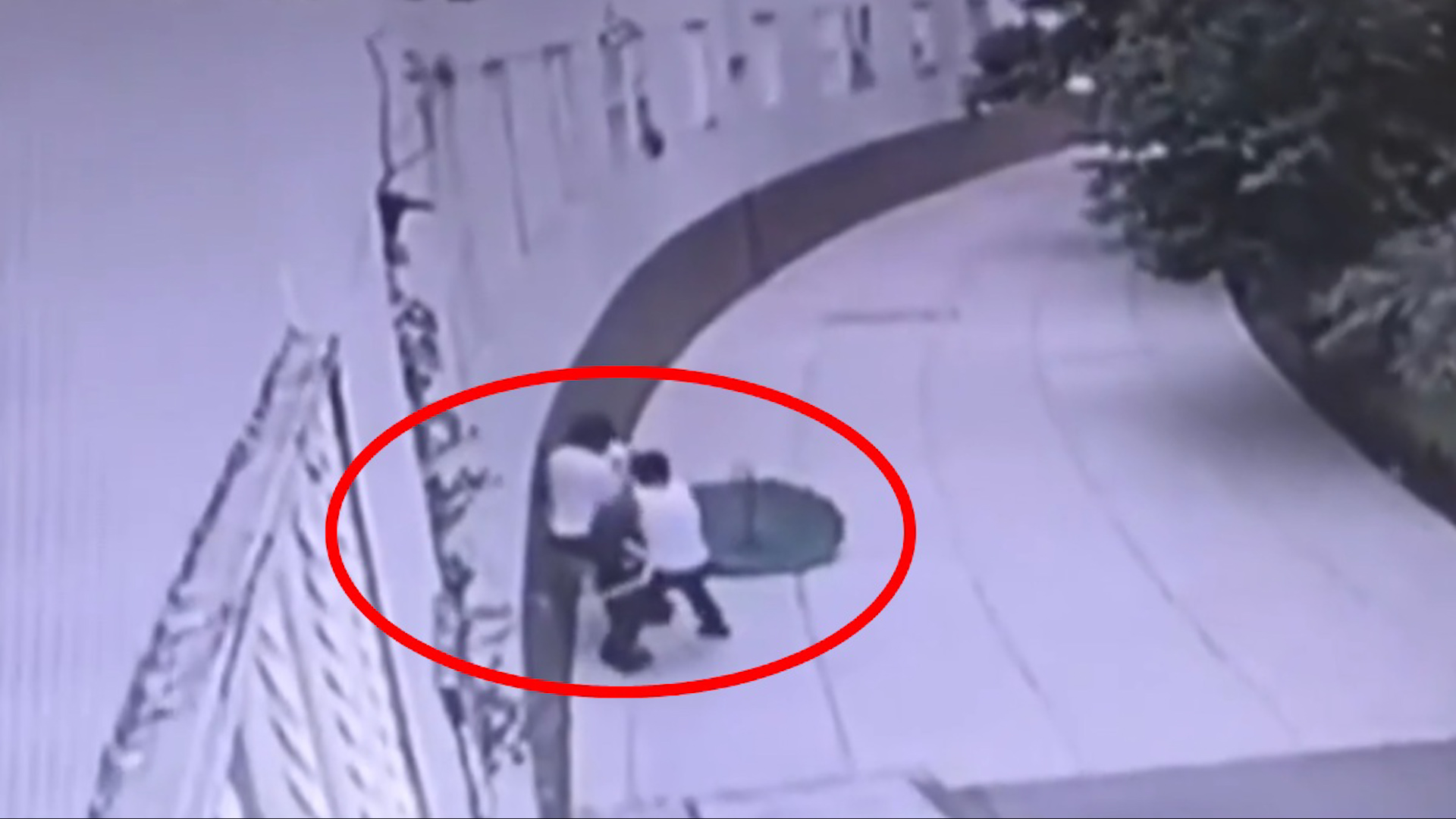 Asalto a mujer en Paseo de la Reforma: 2 sujetos la despojaron violentamente. Botón de auxilio falló. Vecinos denuncian incremento de inseguridad en CdMx.