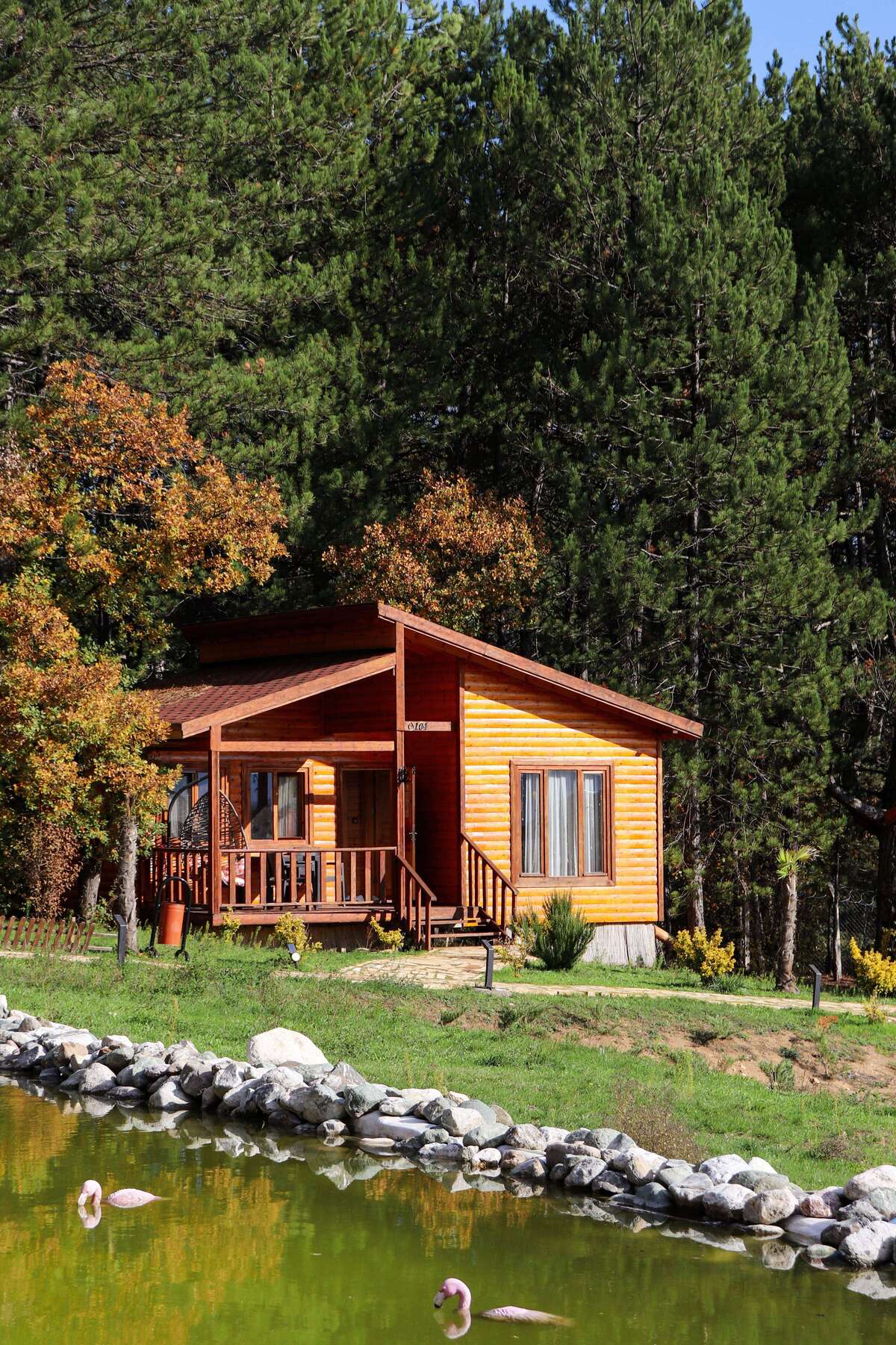 Si planeas hospedarte en la Sierra de Arteaga, hay una recomendación clave que puede ayudarte a evitar pérdidas económicas.