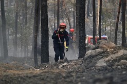 Un bombero combate un incendio forestal en la región de Fontainebleau, al sur de París, Francia, el 14 de julio de 2026.