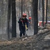 Un bombero combate un incendio forestal en la región de Fontainebleau, al sur de París, Francia, el 14 de julio de 2026.