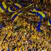 Afición de Tigres dentro del Estadio Universitario, en San Nicolás de los Garza, Nuevo León.