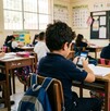 La medida se encuentra en etapa de análisis