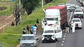 Intento de asalto a tráiler que transportaba cerdos en la carretera Panamericana Celaya-Villagrán en el estado de Guanajuato