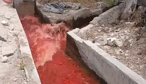 Pobladores indicaron que la coloración podría afectar tanto al medio ambiente como a la producción del campo / Especial