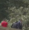 Balacera en San Miguel Topilejo