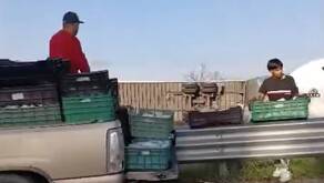 Habitantes cercanos a la autopista 57 sobre el rumbo San Luis-Querétaro robaron el producto de un camión había sufrido un siniestro.