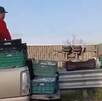 Habitantes cercanos a la autopista 57 sobre el rumbo San Luis-Querétaro robaron el producto de un camión había sufrido un siniestro.
