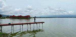 Pescador en laguna