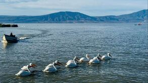 El Cabildo de Chapala instituyó el tercer domingo de octubre como el Día del Lago de Chapala. Habrá eventos culturales y educativos. Aquí los detalles.