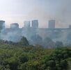 incendio de 2 mil 500 metros cuadrados en el río Santa Catarina, a la altura de la colonia Caracol