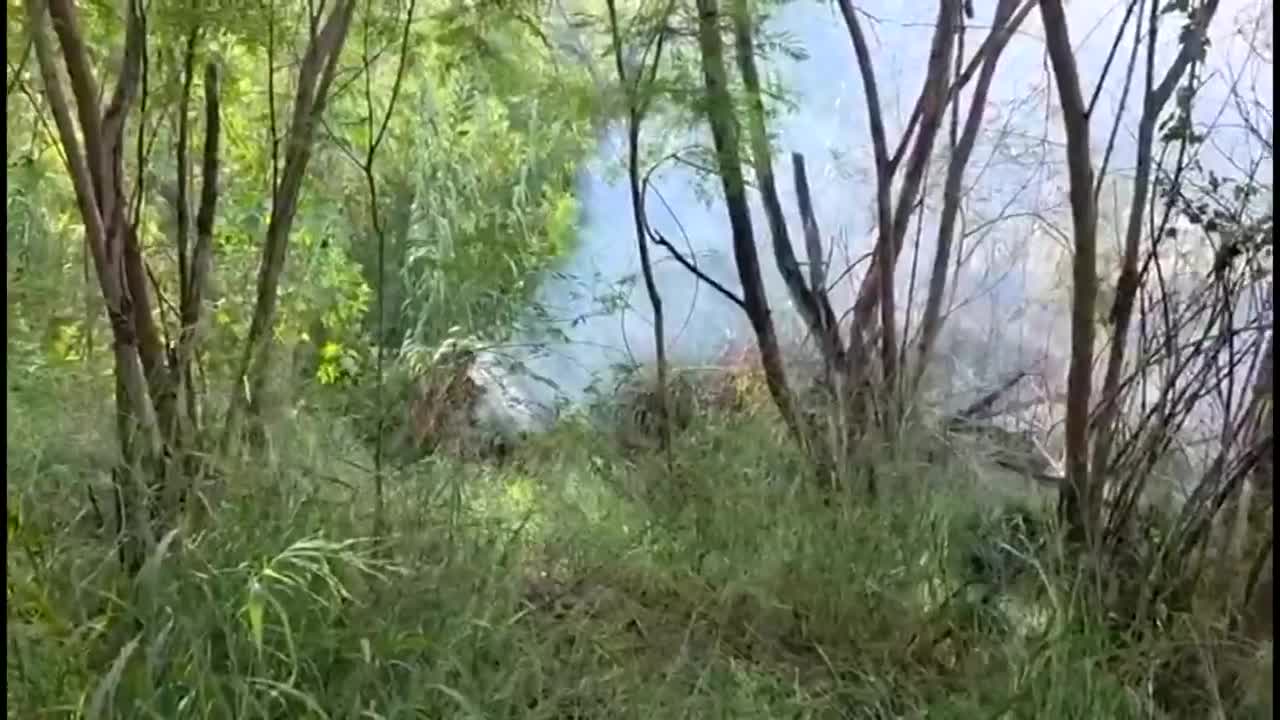 Un incendio consumió más de dos mil 500 metros cuadrados de pastizal y árboles en el lecho del río Santa Catarina, en Monterrey.