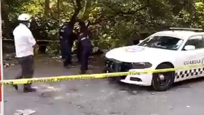 Policías investigan el hallazgo de restos humanos en una zona acordonada.