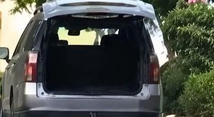 Se observa una camioneta en moviemitno y un perro color balnco en el suelo.
