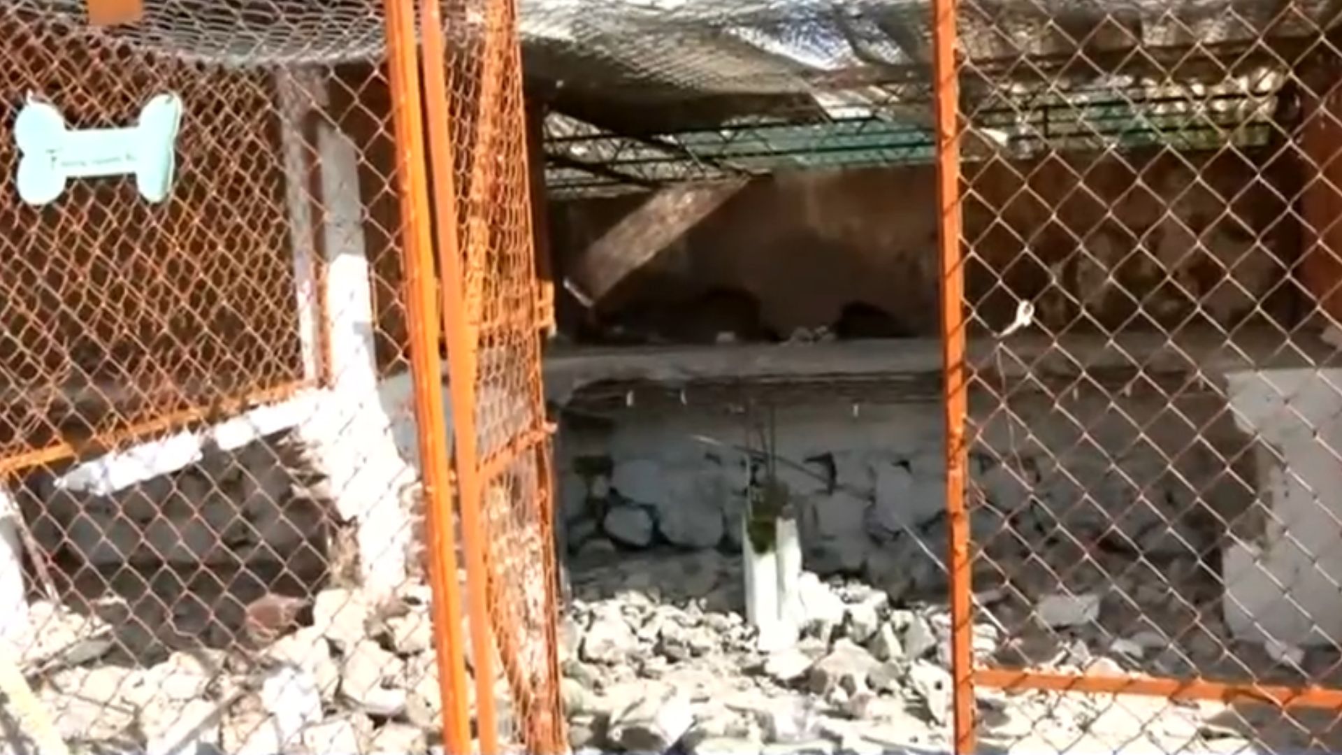 50 encapuchados invaden refugio franciscano en CdMx. Gina denuncia vandalismo y espera devolución de mil 16 perros.