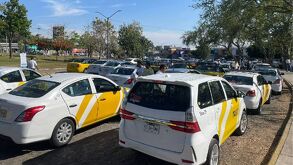 Taxis de Jalisco estrenarán app móvil para competir con plataformas digitales
